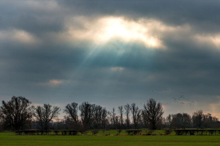 wetter .com